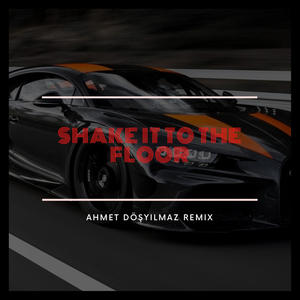 Shake It To The Floor (Remix)