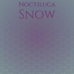 Noctiluca Snow