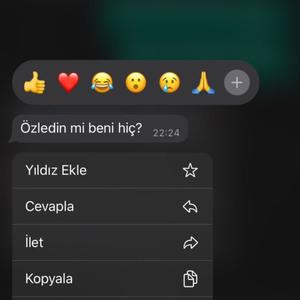 Özledin mi beni hiç ?