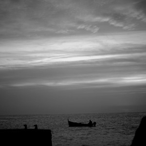 面包杀死玫瑰 (Demo)