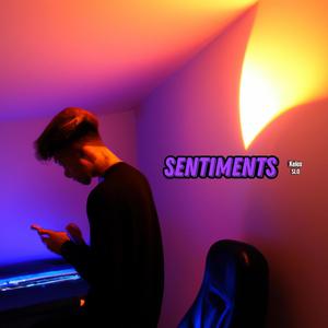 Sentiments (feat. Slo) [Explicit]