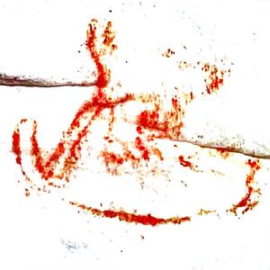 iknowshepraydownonmebutitsok (feat. Cardilo) (Explicit)