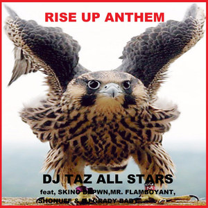 Rise up (Instrumental|feat. DJ Grady Baby & Shonuff)