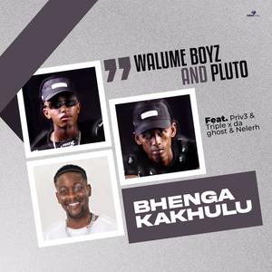 Bhenga Kakhulu (feat. PRVIS3, Walume Boys, Triple X Da Ghost & Nelerh)