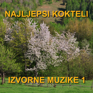 Najljepsi Kokteli Izvorne Muzike1