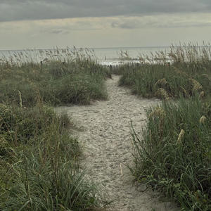 runaway (she did me wrong)