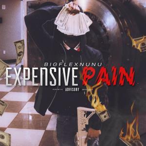 EXPENSIVE PAIN (Explicit)