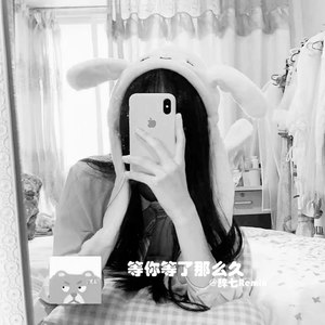 赤诚年少 (DJ版)