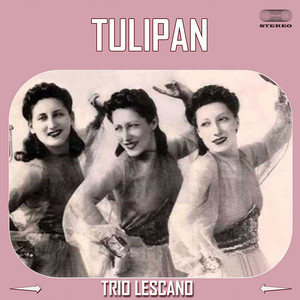 Tulipan (1937)