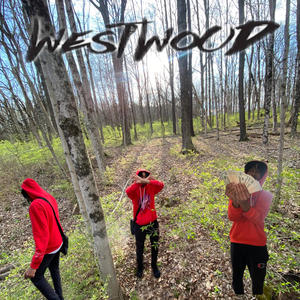 Havin motion (feat. Lil j3, Yvng taz & Jordyngottabag) (Explicit)