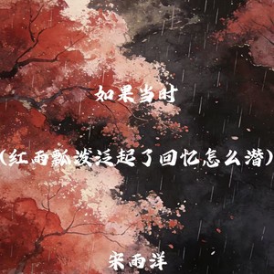 如果当时（红雨瓢泼泛起了回忆怎么潜）封面