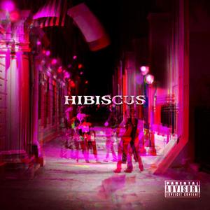 HIBISCUS (Explicit)