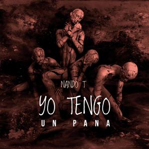 Yo Tengo Un Pana (feat. Nando T)