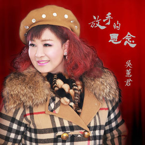 无字的眼泪封面