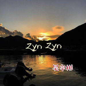 Zyn Zyn
