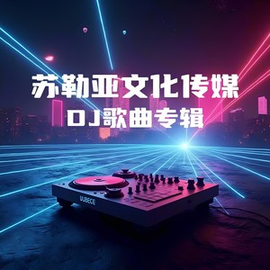 歌在飞 (DJ花哨女生版)封面