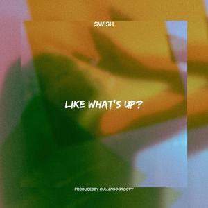 LIKE WHAT'S UP ? (Explicit)