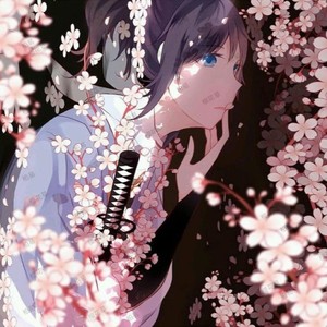 樱花草