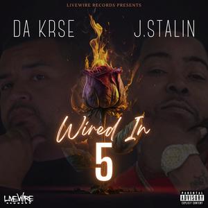 Wired In 5 (Explicit)