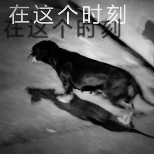 三册柏 - 在这个时刻