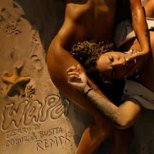 Wapa (Cobuz & Bustta Remix Extended)