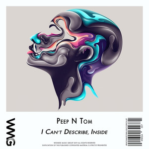 I Can't Describe, Inside (Hz Houghton Radio Remix)