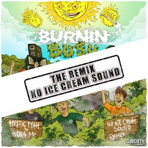 Burning Bush (Rmx|No Ice Cream Sound Remix D&B|Explicit)