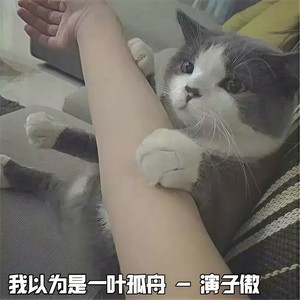 演子傲 - 我以为是一叶孤舟