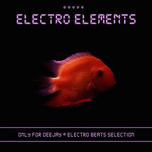 Little Angel of Lucky (Electro Rhythms Mix)