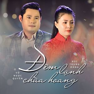 Đêm Lạnh Chùa Hoang