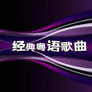 爱你痛到不知痛 (DJ长音频)封面
