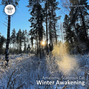 Winter Awakening (Deep House Edition)