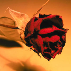 As horas passam! (Explicit)