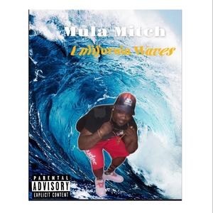 What You Call That (feat. Sk the Ruler) (Explicit)