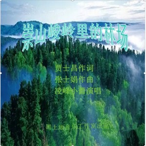 崇山峻岭里的林场 (伴奏)