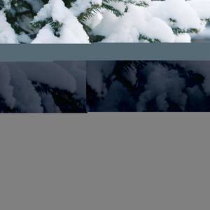 The Soul of Christmas