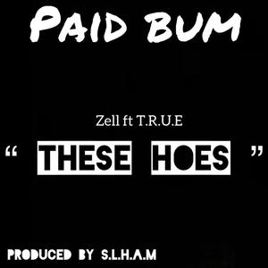 These Hoes(feat. Zell & T.R.U.E) (Explicit)