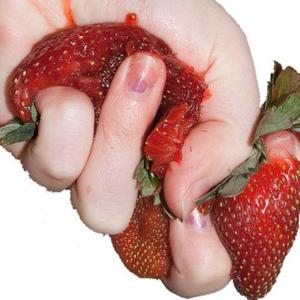 strawberry (Explicit)