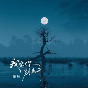 我要你别离开 (伴奏)