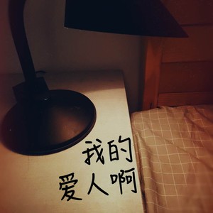 我的爱人啊-conicat