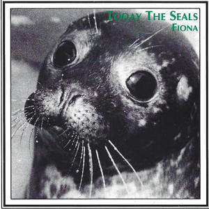 Today The Seals