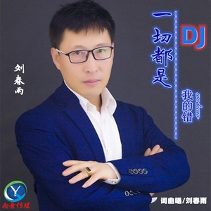 我知道一切都是我的错 (DJ版)