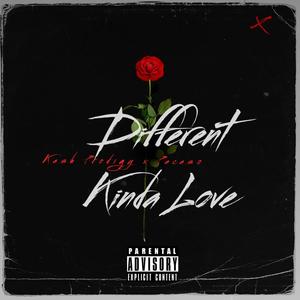 Different Kinda Love (feat. Pacaso) [Explicit]