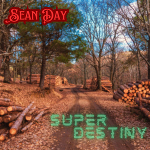 Super Destiny