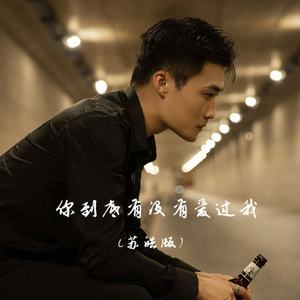 你到底有没有爱过我 (苏皓版)