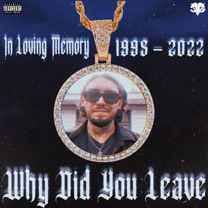 Why Did You Leave (Explicit)