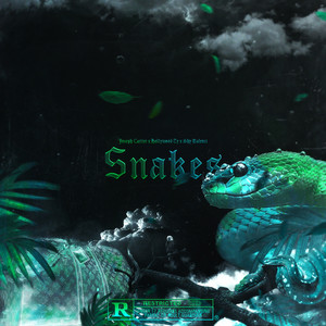 Snakes (Explicit)