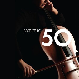 Cello Concerto in B minor RV 424: I Allegro non molto