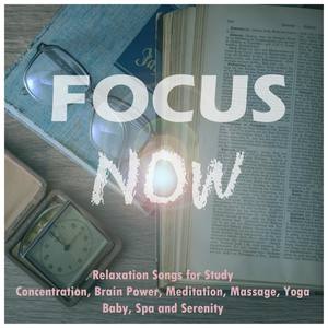 Focus Now: Relaxation Songs for Study, Concentration, Brain Power, Meditation, Massage, Yoga, Baby,