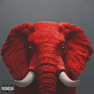 Elephant Mind (Explicit)